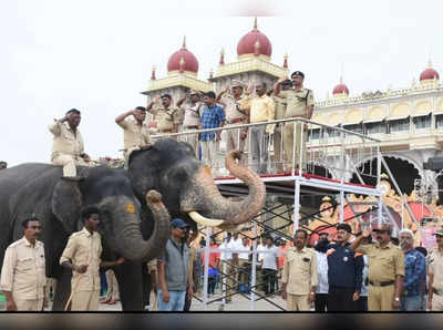 ಮೈಸೂರು ಅರಮನೆಯಲ್ಲಿ ಜಂಬೂಸವಾರಿ ರಿಹರ್ಸಲ್..! ಐತಿಹಾಸಿಕ ಕ್ಷಣಕ್ಕೆ ಮೂರೇ ದಿನಗಳು ಬಾಕಿ