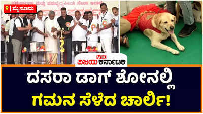 Dasara Dog Show: ದಸರಾ ಡಾಗ್‌ ಶೋನಲ್ಲಿ ಗಮನ ಸೆಳೆದ ಚಾರ್ಲಿ! ಮೈಸೂರಲ್ಲಿ ಶ್ವಾನ ಪ್ರಿಯರ ಸಮಾಗಮ