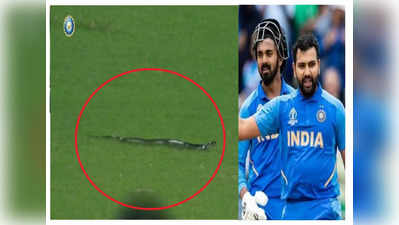VIDEO: राहुल-रोहितची फटकेबाजी रंगात, तितक्यात मैदानात सापाचं दर्शन, KL चं लक्ष गेलं म्हणून बरं झालं...!