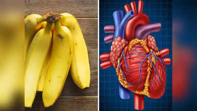 हृदयाची एक आणि एक नस साफ करतील ही 6 फळं, डॉक्टरांनी सांगितलं, कमी होईल Heart Attack चा धोका