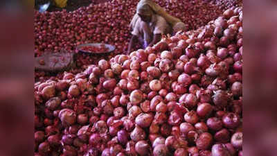 ಜಡಿಮಳೆಗೆ ನೆಲಕಚ್ಚಿದ Onion; ಚಿಕ್ಕಮಗಳೂರಿನಲ್ಲಿ ಉಚಿತವಾಗಿ ಈರುಳ್ಳಿ ಹಂಚಿಕೆ