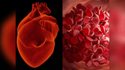 Coronary Artery Disease: આ ગંભીર બીમારીમાં હૃદયની નસો સંકોચાઇ જાય છે, ગમે ત્યારે આવી શકે છે હાર્ટ અટેક; બચવાના ઉપાય