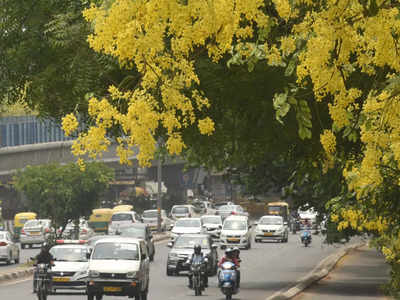 Delhi Pollution: कल से प्रदूषण होगा कुछ कम, दिल्ली में अगले 7 दिन हवा रहेगी ठीक