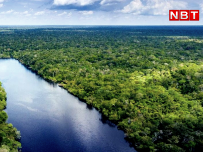 Amazon Jungle News : इस फैक्ट्री में बनती है दुनिया की 20% ऑक्सीजन, एनाकोंडा भी यहां रहते हैं
