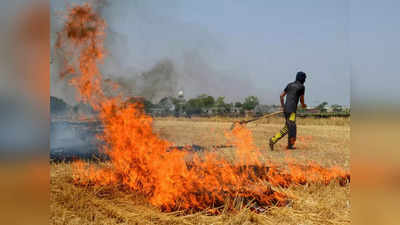 Delhi-NCR Pollution: पराली जलाने से होने वाले प्रदूषण से जल्‍द छुटकारा नहीं, चार-पांच साल और लगेंगे!