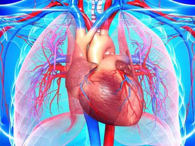 How to increase heart pumping: हार्ट की पंपिंग बढ़ाने के 5 असरदार तरीके, शरीर में तेजी से दौड़ेगा खून