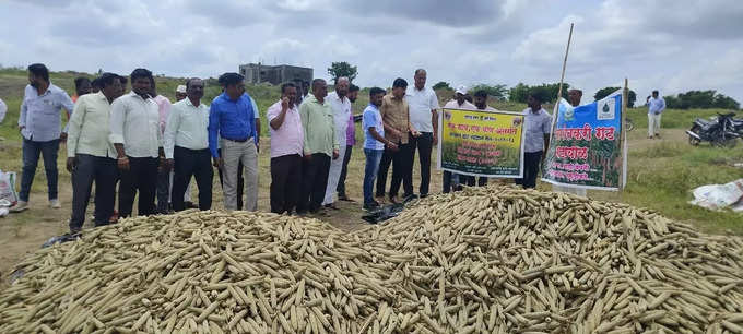 ​माडग्याळच्या शेतकऱ्यांचा प्रयोग प्रेरणादायी