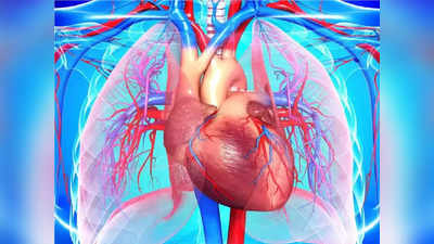 How to Increase Heart Pumping: हृदयाची पंपिंग वाढवण्याचे 5 साधे उपाय, रक्ताच्या नसा उघडतील व वेगाने धावेल रक्त