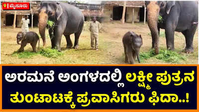 Dasara Elephant: ಮೈಸೂರು ಅರಮನೆ ಆವರಣದಲ್ಲಿ ‘ಲಕ್ಷ್ಮೀ’ ಪುತ್ರನ ತುಂಟಾಟ; ಪ್ರವಾಸಿಗರು ಫಿದಾ