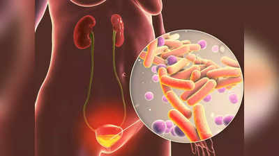 kidney problem : அடிக்கடி சிறுநீர் பை நிரம்பி அவசரமா பாத்ரூம் போறீங்களா?... உங்களுக்குதான் இந்த டிப்ஸ்...