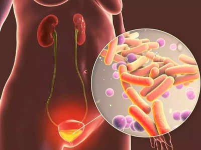 kidney problem : அடிக்கடி சிறுநீர் பை நிரம்பி அவசரமா பாத்ரூம் போறீங்களா?... உங்களுக்குதான் இந்த டிப்ஸ்...