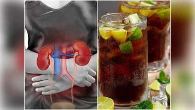 Worst Drinks for Kidney: ধীরে ধীরে কিডনির রোগের কারণ হয় এই ৫ চেনা পানীয়, দূরে থাকতে বললেন পুষ্টিবিদ