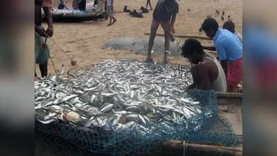 மீன் வளர்க்க மானியம் தரும் அரசு.. பணம் சம்பாதிக்க சூப்பர் வழி!