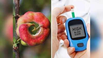 Madras Thorn Benefits : टाइप 2 च्या Diabetes पेशंटकरता Insulin पेक्षा भारी आहे ही जंगली जिलेबी, असं करा सेवन