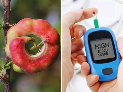 Madras Thorn Benefits : टाइप 2 च्या Diabetes पेशंटकरता Insulin पेक्षा भारी आहे ही जंगली जिलेबी, असं करा सेवन