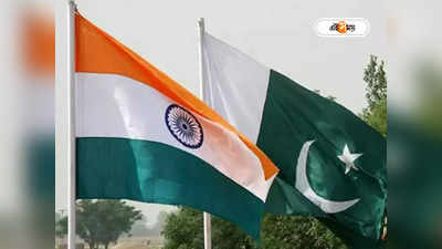 Indo Pak Partition: দেশভাগের যন্ত্রণা থেকে যুদ্ধ, তবু পাকিস্তানকে জুড়তে চান ৪৪ শতাংশ ভারতীয়!