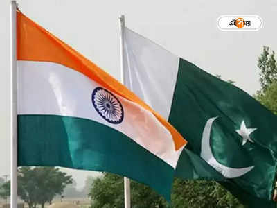 Indo Pak Partition: দেশভাগের যন্ত্রণা থেকে যুদ্ধ, তবু পাকিস্তানকে জুড়তে চান ৪৪ শতাংশ ভারতীয়!