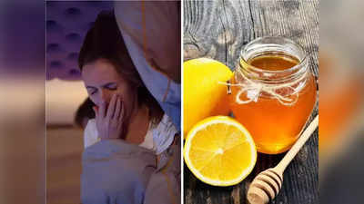 Remedy for Coughing At Night : तुम्हालाही नेमका रात्रीचाच येतो जीवघेणा खोकला? मग झोपण्याआधी करा हे 5 सोपे उपाय