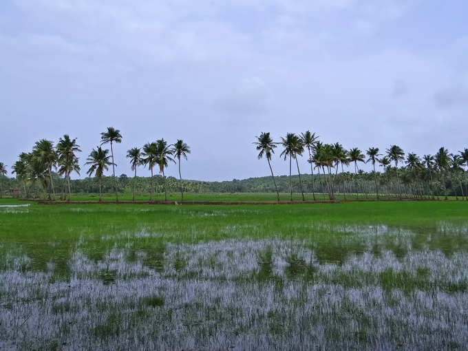 ಮಡಗಾಂವ್