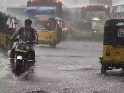 Telangana Rains: తెలంగాణలో వారం పాటు వర్షాలు.. ఆ జిల్లాలకు ఎల్లో అలర్ట్..