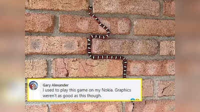 खड़ी दीवार पर चढ़ रहा था सांप, वीडियो देख लोगों को Snake Game की याद आ गई