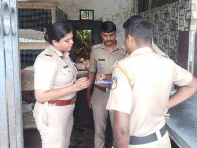 അഞ്ചരകണ്ടിയിൽ ഇറച്ചി കടയിൽ നിന്നും വെടി മരുന്ന് കണ്ടെത്തി