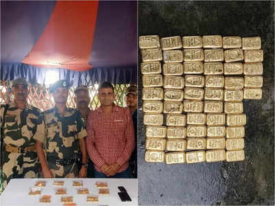 Gold Recovery By BSF : হাঁড়ির ভেতর লোকানো তাল তাল সোনা! গাইঘাটায় ‘গুপ্তধন’ উদ্ধার BSF-এর