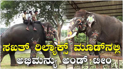 Dasara Elephants: ಅಭಿಮನ್ಯು ನೇತೃತ್ವದಲ್ಲಿ ಯಶಸ್ವಿ ಜಂಬೂಸವಾರಿ!  ರಿಲ್ಯಾಕ್ಸ್‌ ಮೂಡ್‌ನಲ್ಲಿ ದಸರಾ ಗಜಪಡೆ