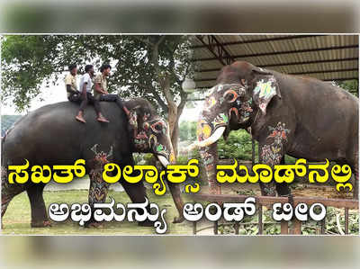 Dasara Elephants: ಅಭಿಮನ್ಯು ನೇತೃತ್ವದಲ್ಲಿ ಯಶಸ್ವಿ ಜಂಬೂಸವಾರಿ!  ರಿಲ್ಯಾಕ್ಸ್‌ ಮೂಡ್‌ನಲ್ಲಿ ದಸರಾ ಗಜಪಡೆ