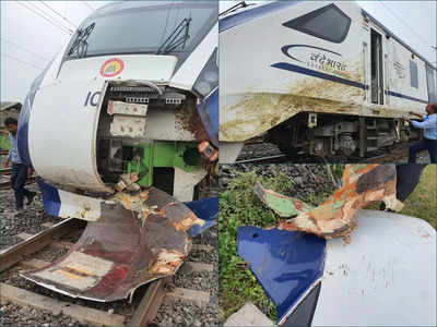 Vande Bharat Express : মহিষের ধাক্কা, ভাঙল বন্দে ভারত এক্সপ্রেসের ইঞ্জিনের অংশ