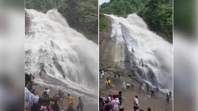 സഞ്ചാരികൾ രക്ഷപെട്ടത് തലനാരിഴയ്ക്ക്, തുഷാര​ഗിരിയിൽ അപ്രതീക്ഷിത മലവെള്ളപ്പാച്ചിൽ