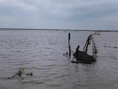 Gopalganj Flood: गोपालगंज में उपचुनाव से पहले मंडराया बाढ़ का खतरा, नेपाल के पानी ने बढ़ाई मुसीबत