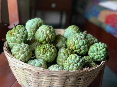 Custard Apple: നിങ്ങളുടെ ഭക്ഷണത്തിൽ സീതപ്പഴം ഉൾപ്പെടുത്തേണ്ടതിൻ്റെ 8 പ്രധാന കാരണങ്ങൾ