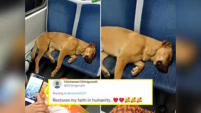 Dog Viral Video: कुत्ता सीट पर सो रहा था, भीड़ ने जो किया वह देखकर इंसानियत को सैल्यूट करेंगे