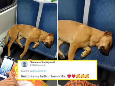 Dog Viral Video: कुत्ता सीट पर सो रहा था, भीड़ ने जो किया वह देखकर इंसानियत को सैल्यूट करेंगे