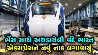 ભેંસો સાથે અથડાયેલી વંદે ભારતનું મુંબઈમાં થયું રિપેરિંગ