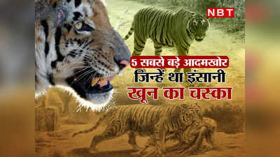 436 इंसानों को मारकर खा गई, उस बाघिन के आगे आर्मी भी थी फेल... भारत के 5 सबसे आदमखोर बाघ