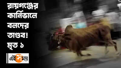 Durga Puja Carnival 2022 : রায়গঞ্জের কার্নিভ্য়ালে বলদের তাণ্ডব! মৃত ১
