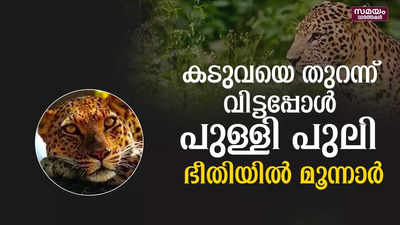 ചെങ്കുളത്ത് ജനവാസ മേഖലയിൽ പുള്ളി പുലിയെ കണ്ടെത്തി 