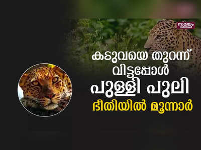 ചെങ്കുളത്ത് ജനവാസ മേഖലയിൽ പുള്ളി പുലിയെ കണ്ടെത്തി 