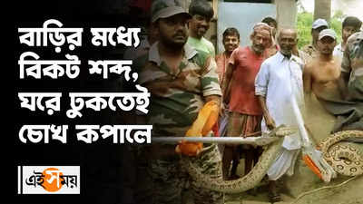 Snake Rescue : বাড়ির মধ্যে বিকট শব্দ, ঘরে ঢুকতেই চোখ কপালে