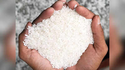 यूपी के बासमती चावल निर्यात में आई बड़ी गिरावट, अब कीटनाशकों के प्रयोग पर लगा 60 दिनों का प्रतिबंध