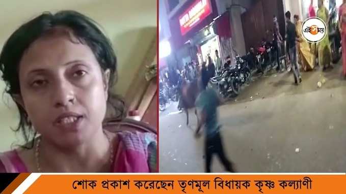 Durga Puja Carnival Accident : আমি কি আর আমার বাবাকে আর ফিরে পাব: মৃতের মেয়ে