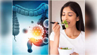 Improve Gut Health: আজেবাজে খাওয়ার অভ্যাসে পেটের হাজার রোগ হয়, অন্ত্র ভালো রাখার ৫ টিপস দিলেন আয়ুর্বেদ চিকিৎসক