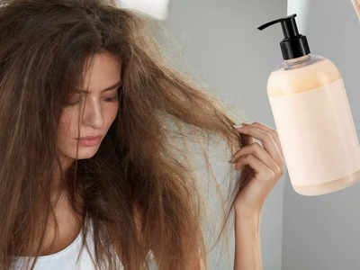 रूखे और फ्रीजी बालों से मिलेगा छुटकारा, ये नेचुरल Shampoo देंगे स्कैल्प्स को प्रोटीन, पाएंगे सॉफ्ट सिल्की बाल