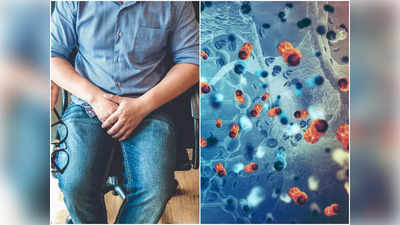 Coronavirus Affect on Male Fertility: করোনাভাইরাস পুরুষের ফার্টিলিটির উপর জোর আঘাত আনে, জানাচ্ছে IIT-এর গবেষণা
