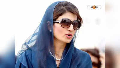 Pakistan News: ‘আমরা তালিবানের মুখপাত্র’, চাঞ্চল্যকর স্বীকারোক্তি পাক মন্ত্রীর