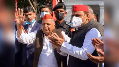 Mulayam Singh Yadav Death: इतने करोड़ की संपत्ति के मालिक थे मुलायम सिंह यादव, जानते हैं कितनी थी सालाना कमाई? पूरी डिटेल