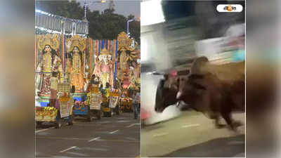Durga Puja Carnival 2022: কার্নিভ্যালে বলদের গুঁতোয় ব্যক্তির মৃত্যুতে নাম জড়াল বিধায়কের, পুলিশে অভিযোগ দায়ের মৃতের মেয়ের