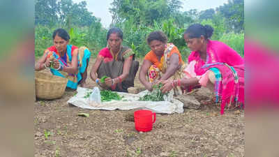 Good News: मटका खाद से आत्मनिर्भर बन रहीं ये महिलाएं, आप भी हर महीने घर बैठे कमा सकते हैं 5 से 6 हजार रुपये